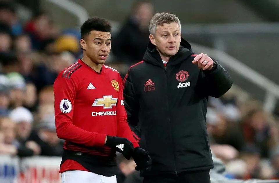 场上大放异 场上大放异